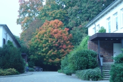 Herbst in Wustrau